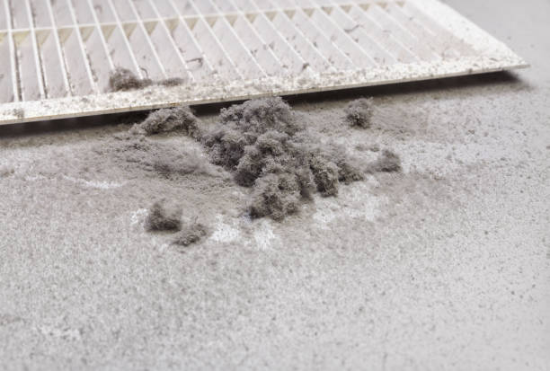 Best Air Vent Cleaning Services  in Fulshear, TX